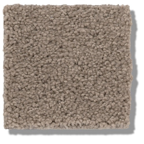 Secretly Smokey Ash Nylon Carpet - Textured