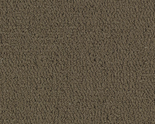 Color Accents Bl Timber Nylon Carpet - Loop