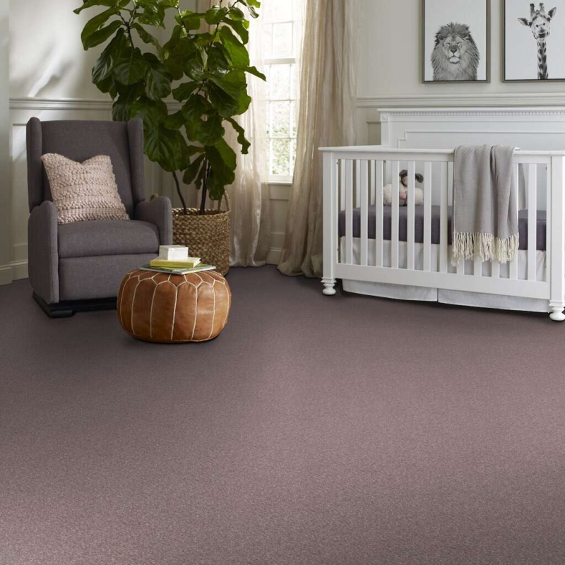 Caress By Shaw Quiet Comfort Classic I Heather Nylon Carpet - Textured