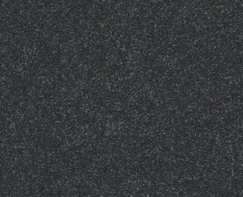 Off The Leash II 12 Shadow Polyester Carpet - Loop