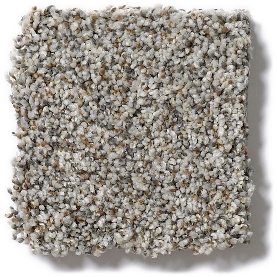Pet Perfect Oliver's Twist Wirework Nylon Carpet - Textured