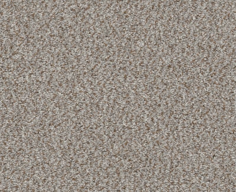 Marina I Seashell Polyester Carpet - Textured