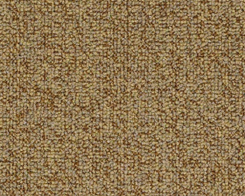 Scoreboard Ii 28 Slp All Star Nylon Carpet - Loop