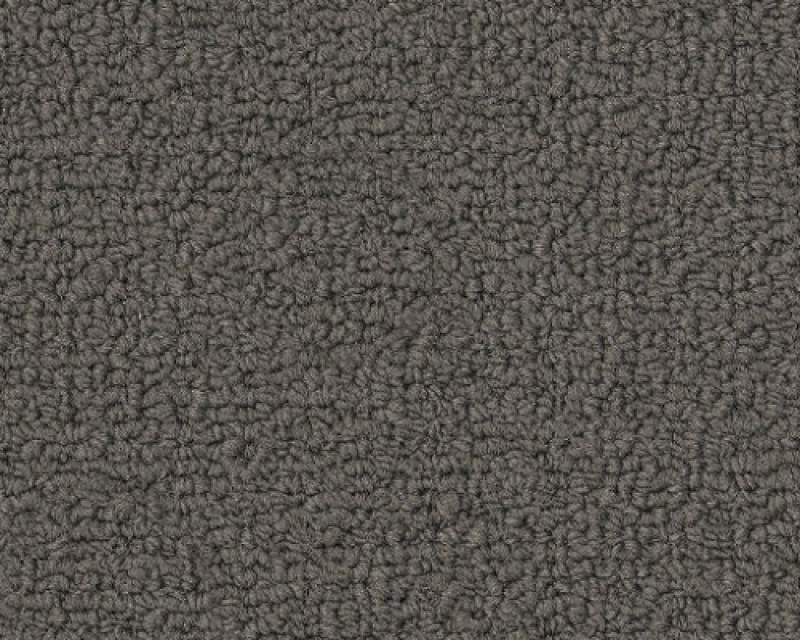 Color Accents BL Dolphin Nylon Carpet - Loop