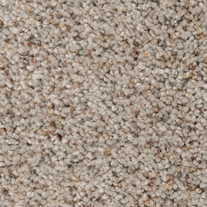 Relaxing Presence Haven Triexta Carpet - Textured