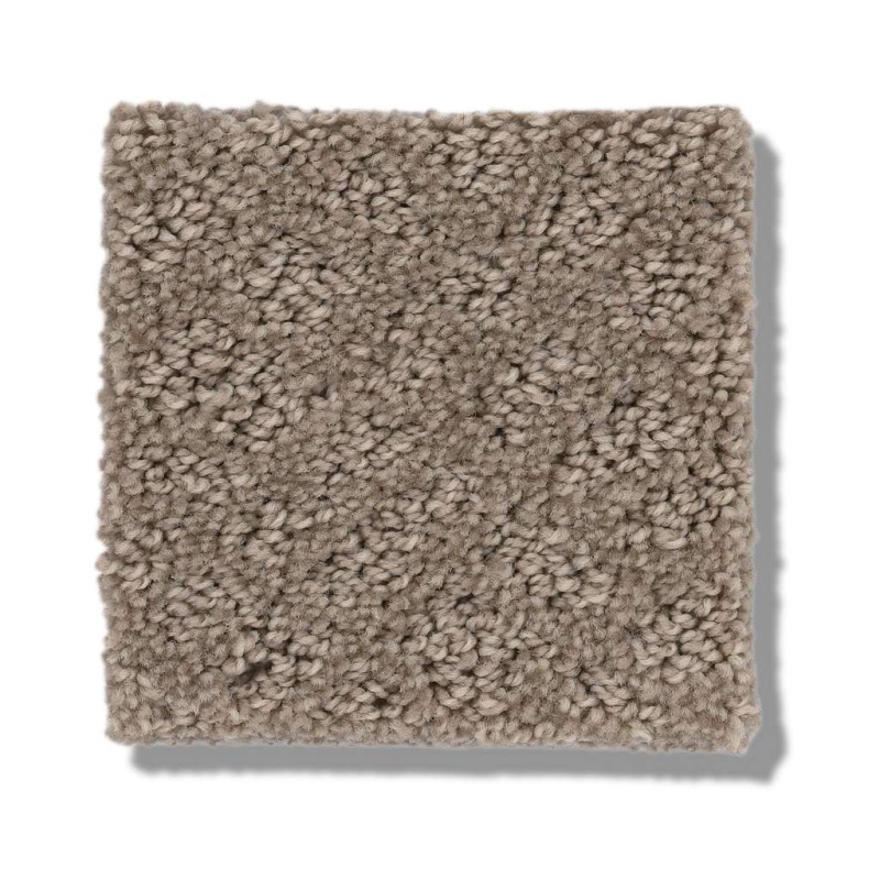 Foundations Chic Shades Desert View Nylon Carpet