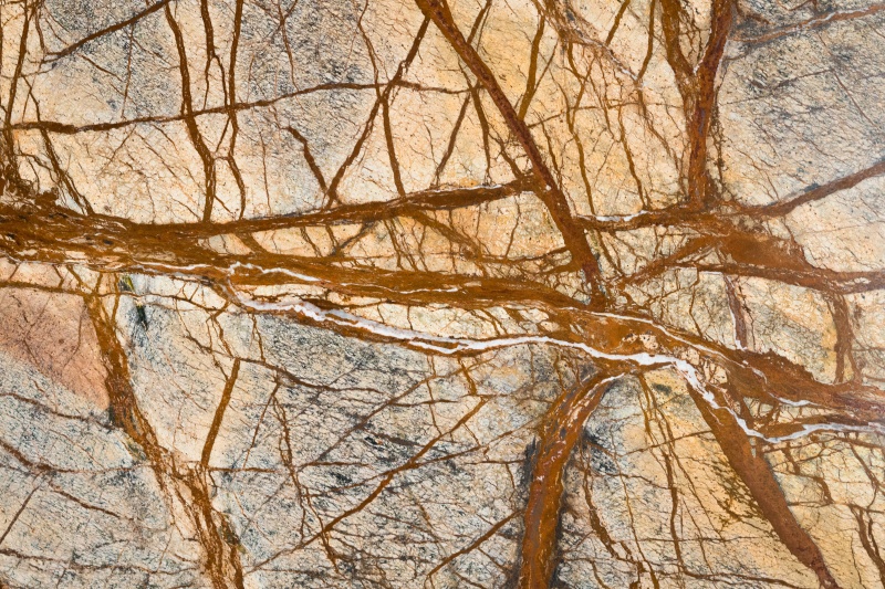 Cafe Forest Marble Tile - Polished