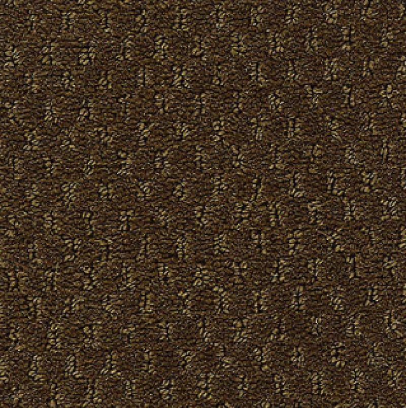 Influencer Classic Update Native Soil Nylon Carpet - Loop