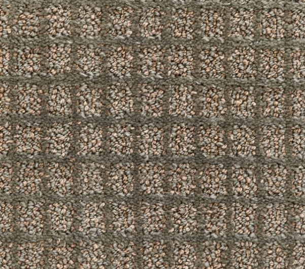 Clearance Sale! Atelier Portfolio Mania Creek Nylon Carpet - Pattern