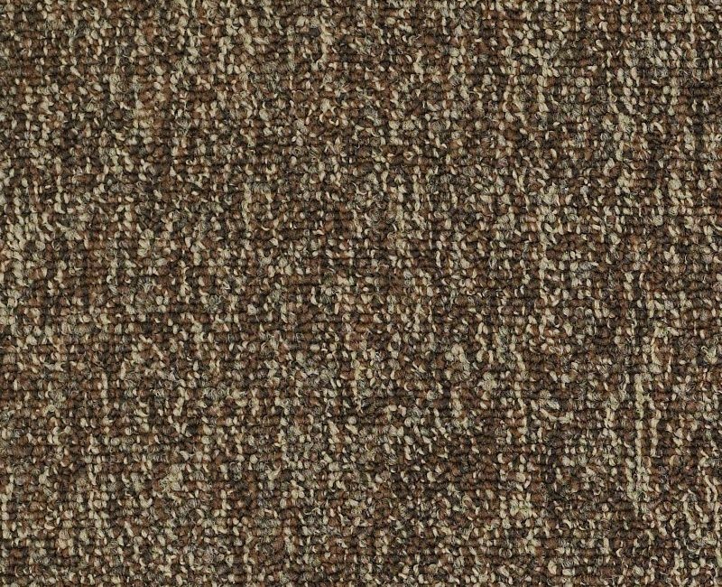 Clearance Sale! New Trade Brown Nylon Carpet - Loop