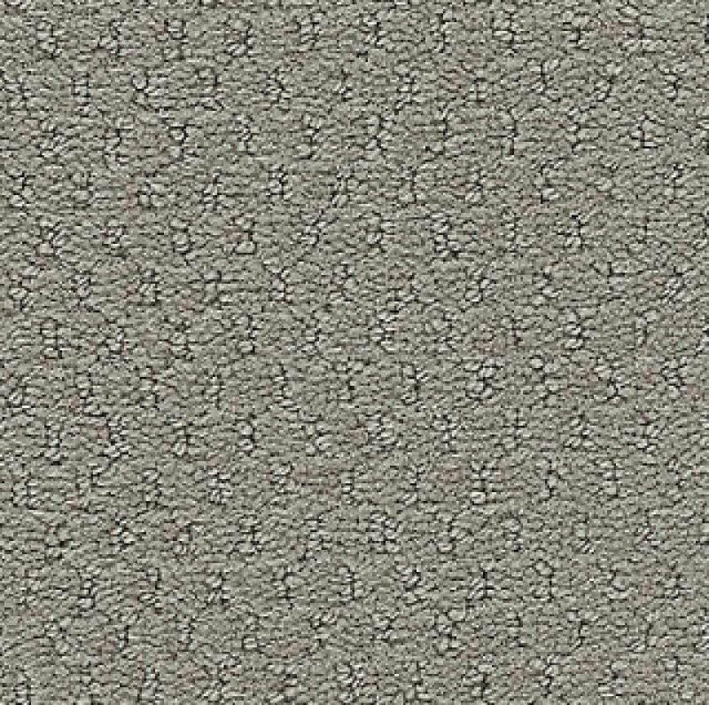 Influencer Classic Update Classic Silver Nylon Carpet - Loop
