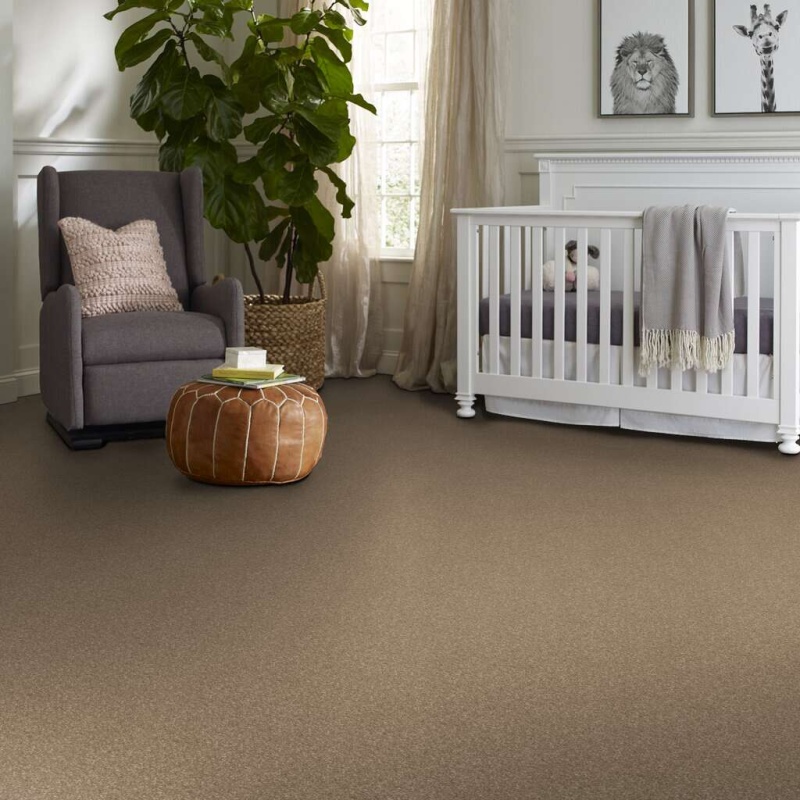 Caress By Shaw Quiet Comfort Classic I Pebble Path Nylon Carpet - Textured