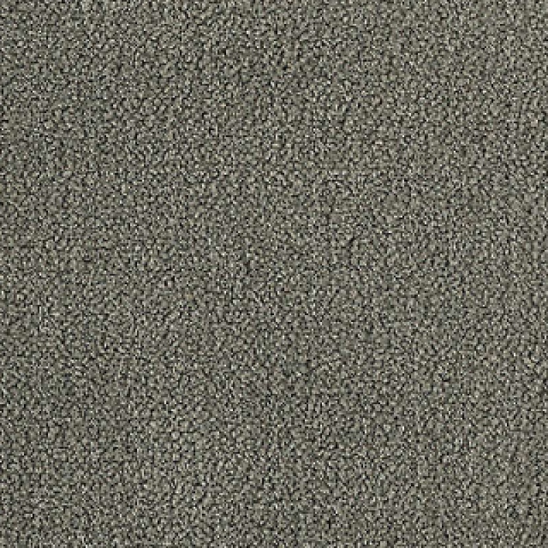 Influencer 42 Frosted Slate Textured Nylon Carpet