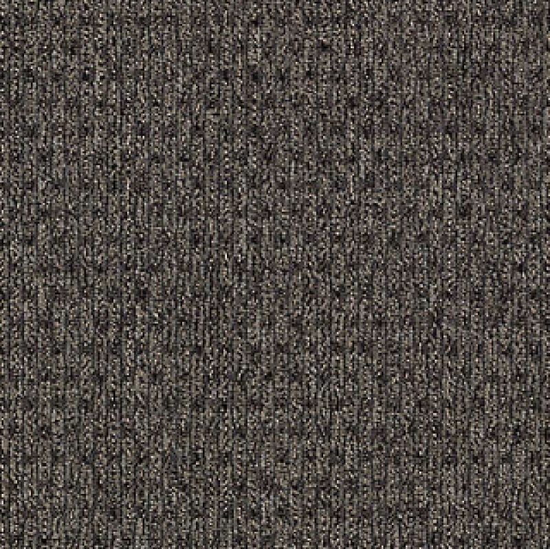 True Form Modern Movement Nylon Carpet - Loop