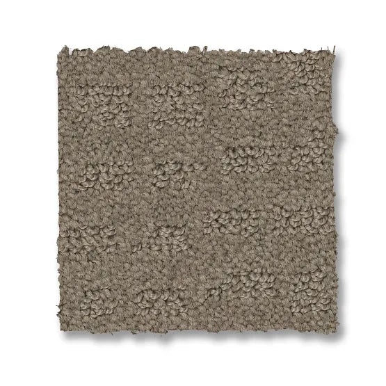 Reawaken Solstice Koala Nylon Carpet – Loop