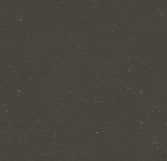 Marmoleum Cocoa Black Tea Linoleum - Topshield Pro