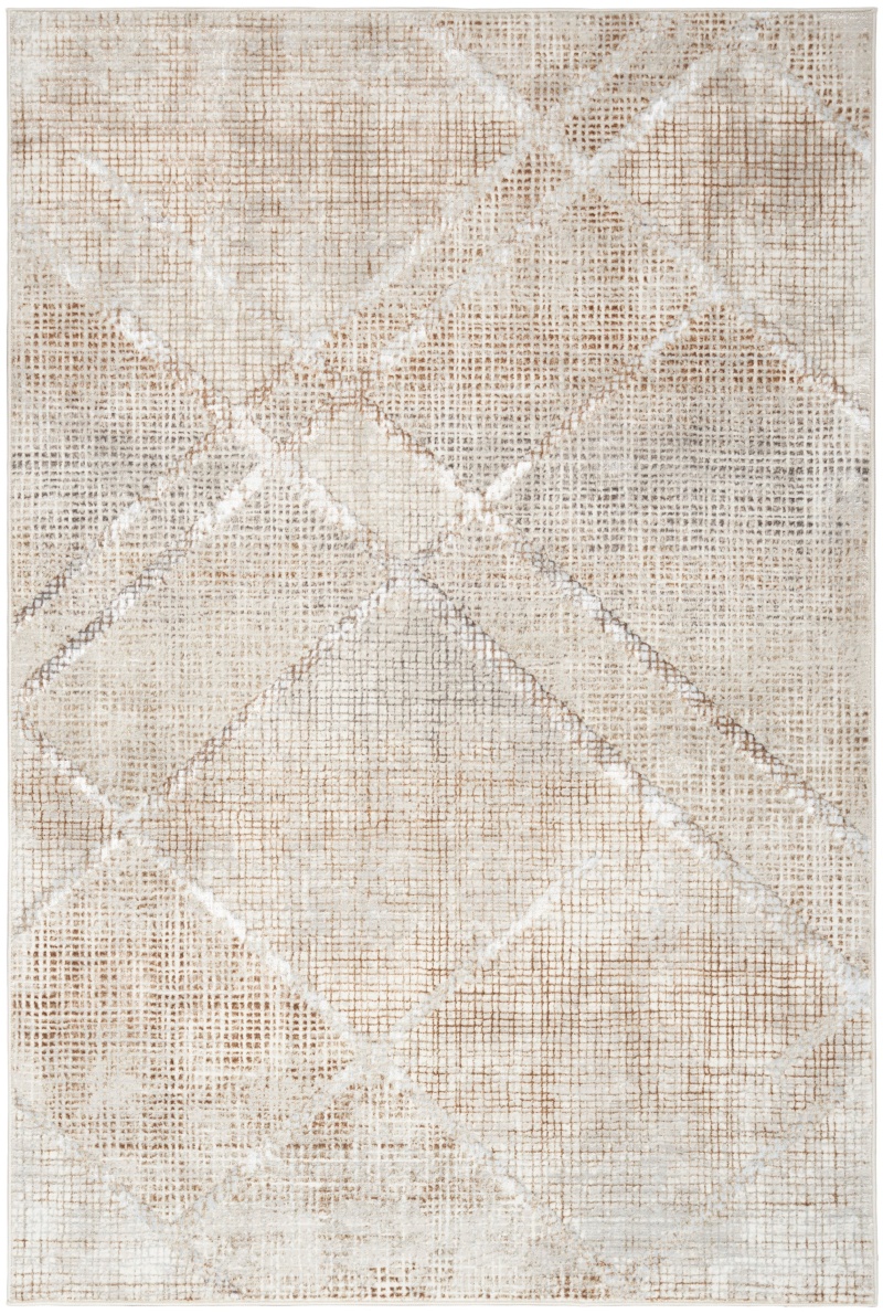 Iliana Grey Mocha Modern Area Rug
