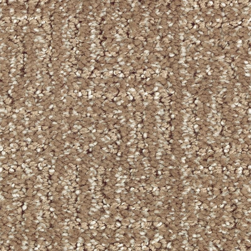 Natural Treasure Nutmeg Triexta Carpet - Pattern