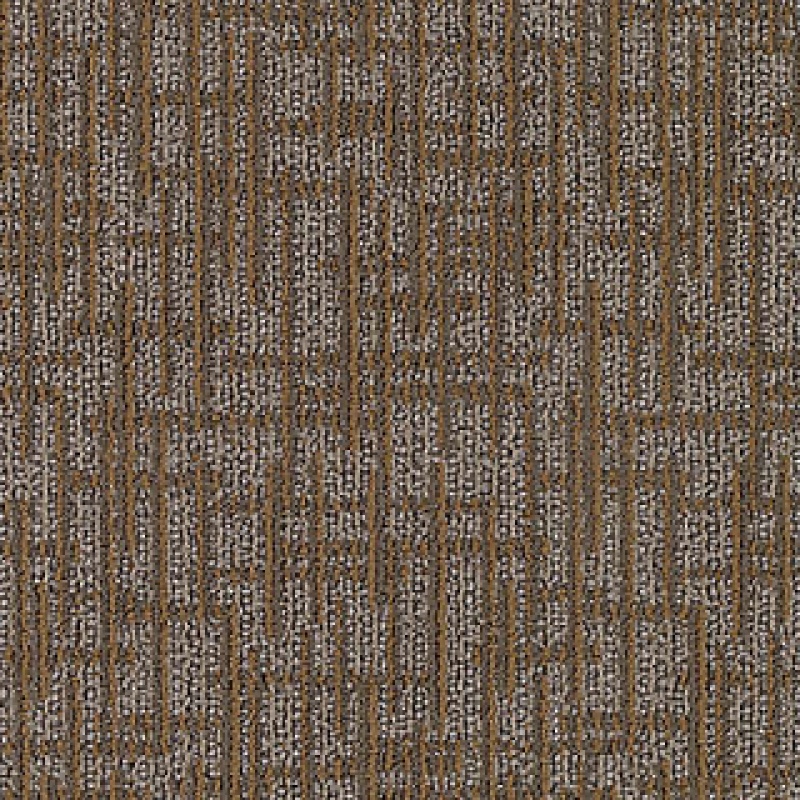 Inspiration Transversal Approach Totally Unexpected Nylon Carpet - Loop