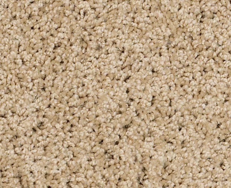My Style 3 Taffeta Nylon Carpet - Textured