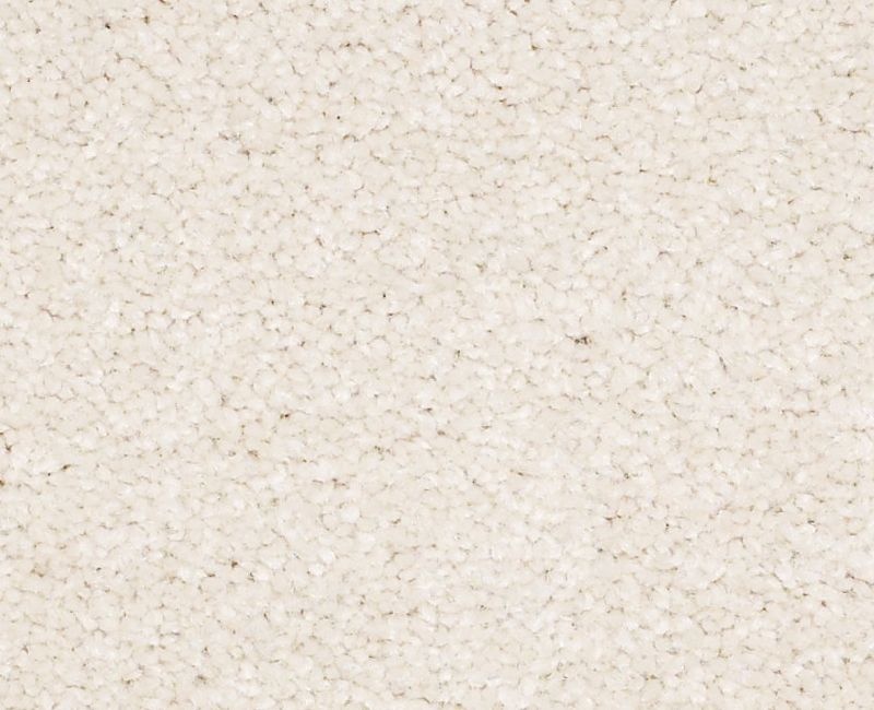 Bright Spirit Iii 15' Mushroom Nylon Carpet - Textured
