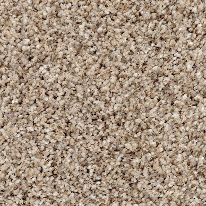 Nature's Luxury I Fallen Timber Triexta Carpet - Textured