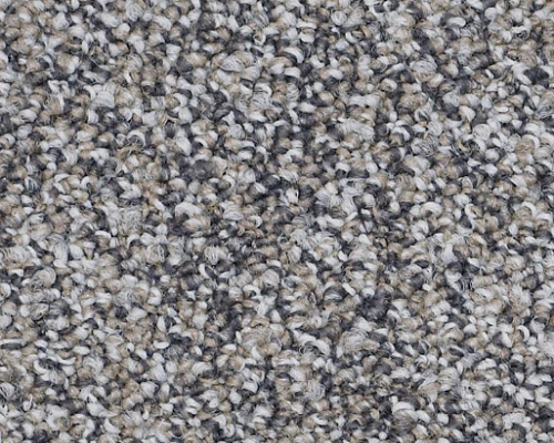 No Limits 22 Freedom Nylon Carpet - Loop