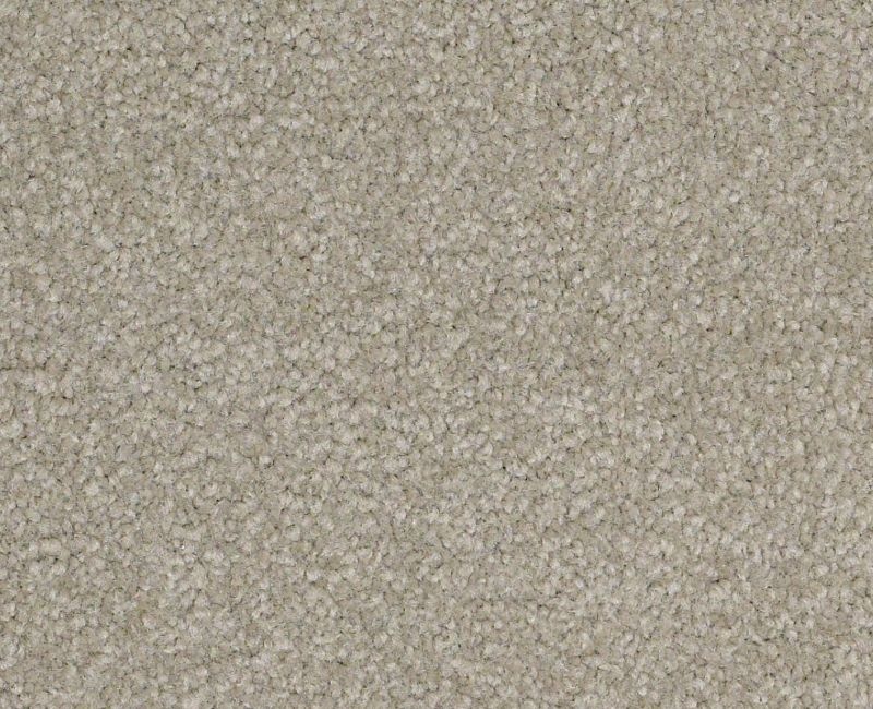 Magic Happens Pv Iii Gunmetal Nylon Carpet - Textured