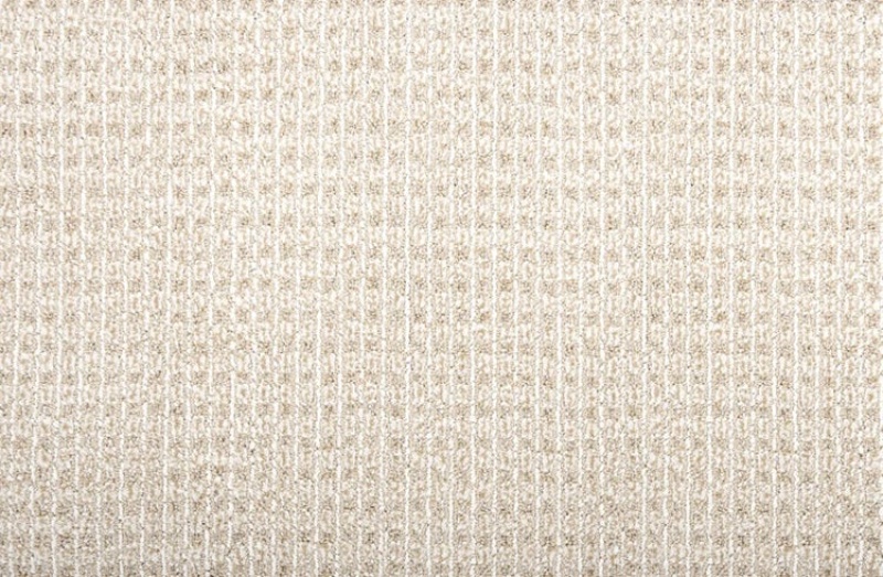 Pet Guard Sir Leon Barley Solution Dyed Polyes Carpet - Loop