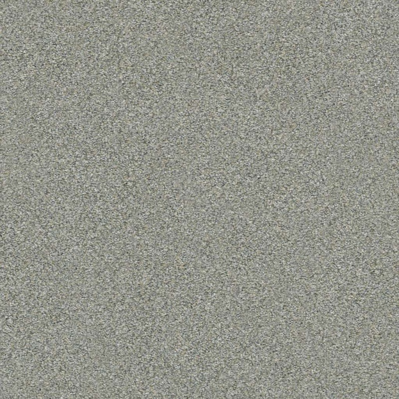 Simply The Best Boundless II Distant Star Polyester Carpet - Textured