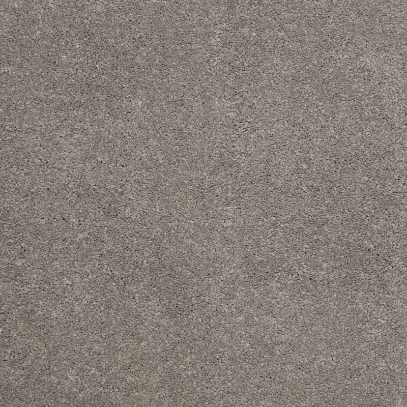 Caress By Shaw Quiet Comfort Classic I Barnboard Nylon Carpet - Textured