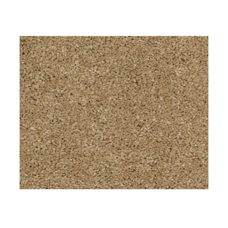 Castle Pv Ii Navajo Nylon Carpet - Textured