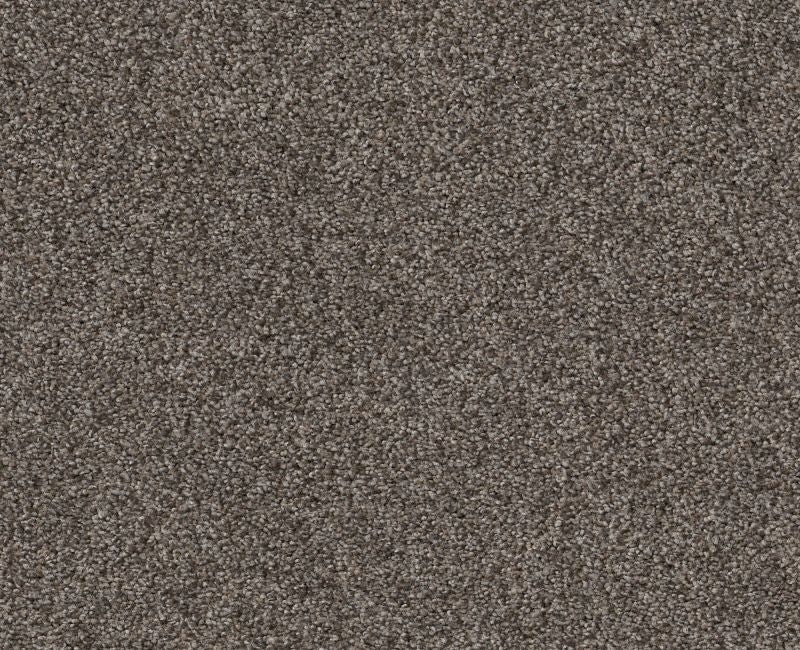 Simple Life Woodcliff Brown Nylon Carpet - Textured