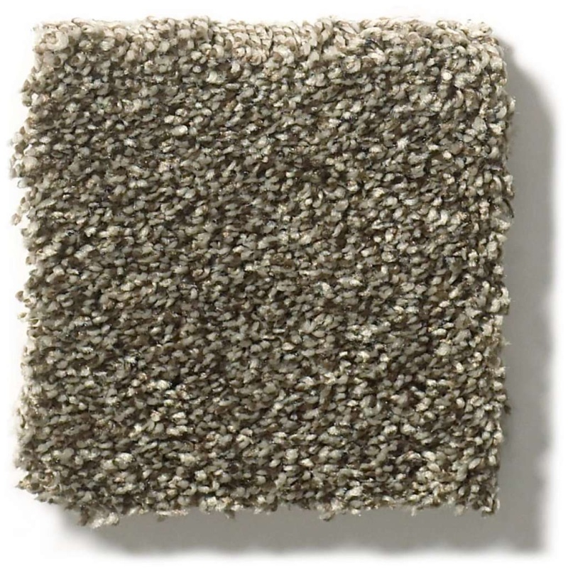 Pet Perfect Plus Just A Hint I Mink Polyester Carpet - Textured