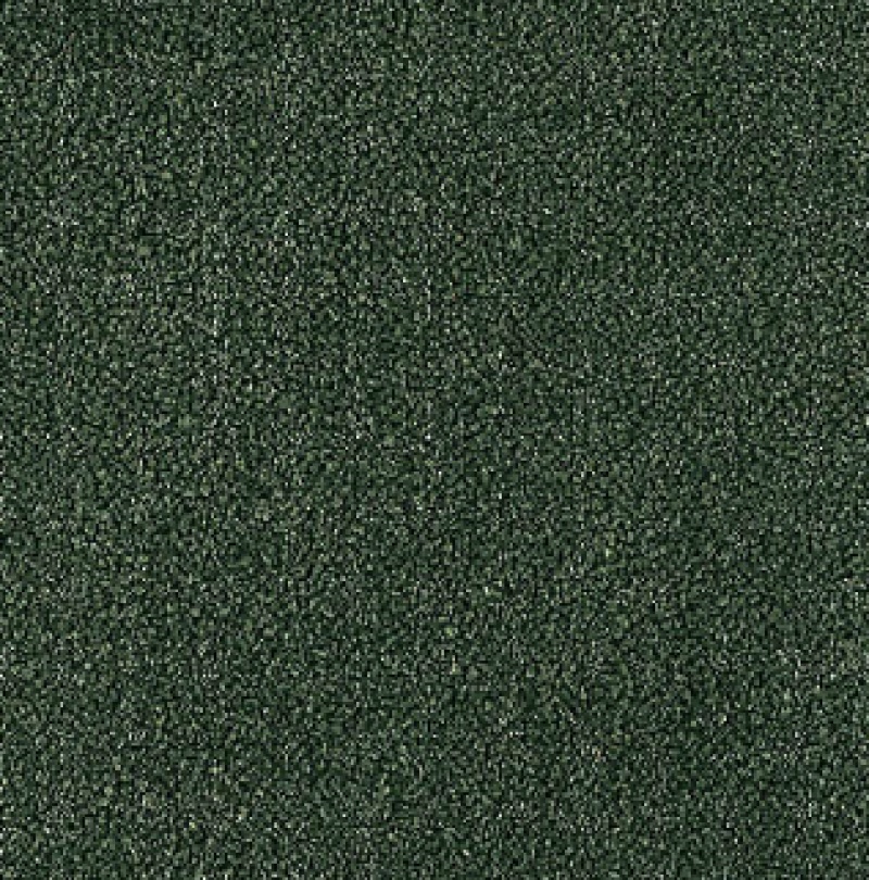 Influencer 36 Weathered Moss Nylon Carpet - Textured