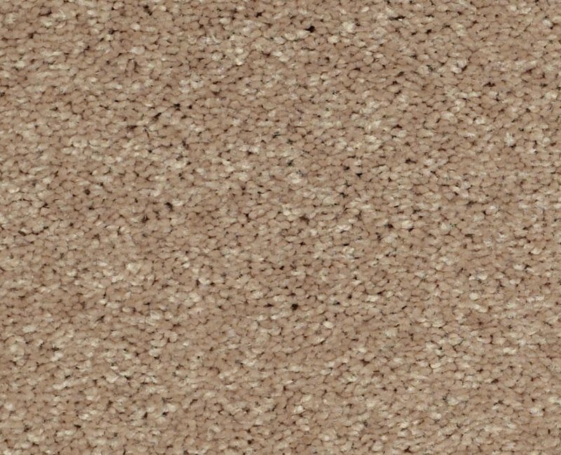 Main Stay 12' Honeycomb Polyester Carpet - Textured