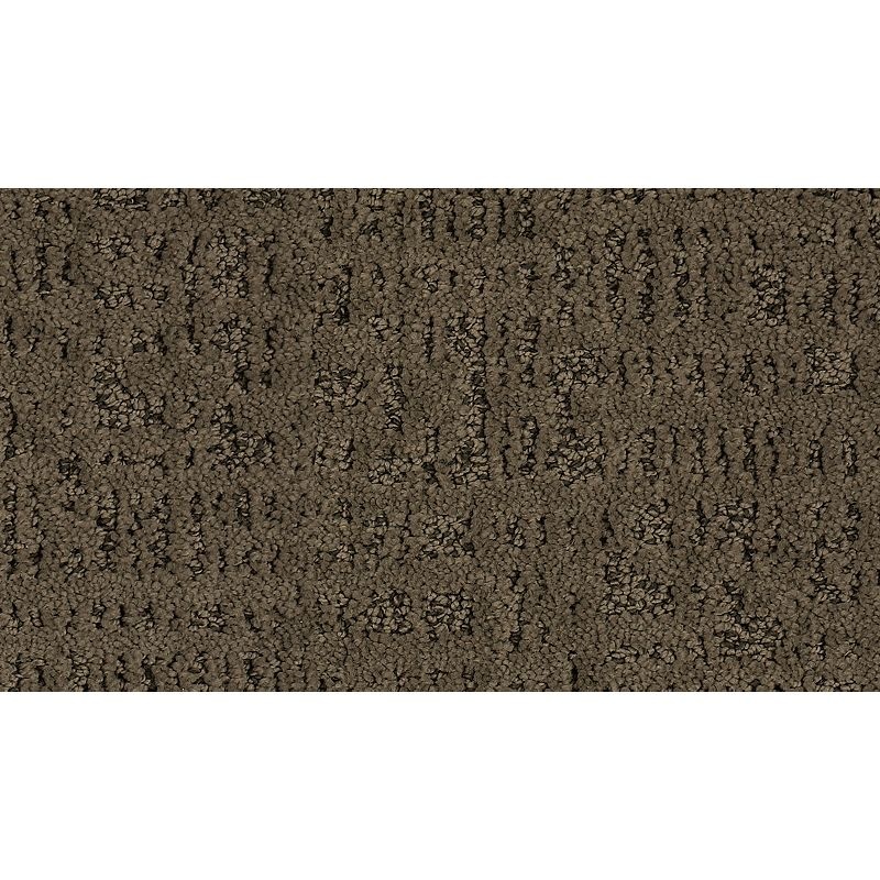 Exquisite Portrait Otter Triexta Carpet - Pattern