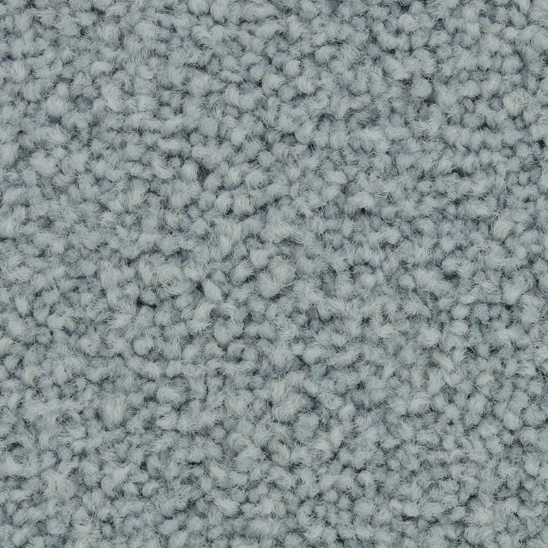 Coastal Fashion II Refreshing Nylon Carpet - Textured