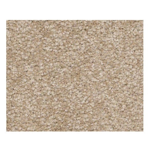 Qs160 15' Sahara Nylon Carpet - Textured