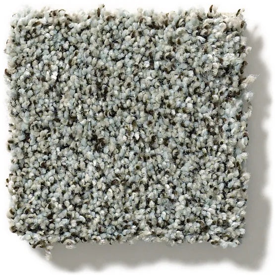 Pet Perfect The Bark Side Ii Tide Water Nylon Carpet - Textured