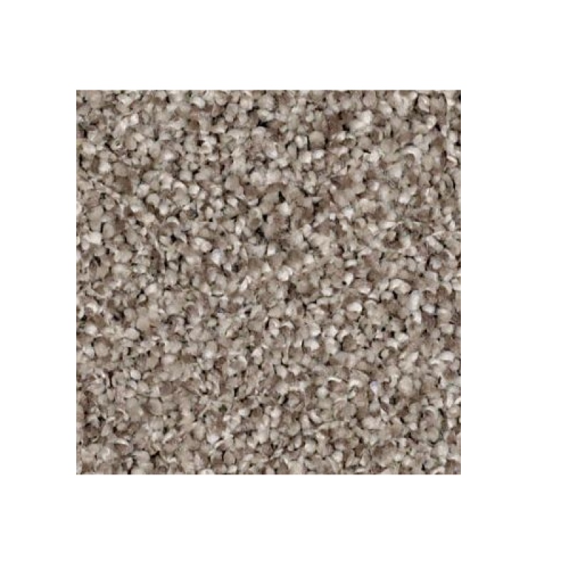 Anso It Goes Barn Wood Nylon Carpet - Textured