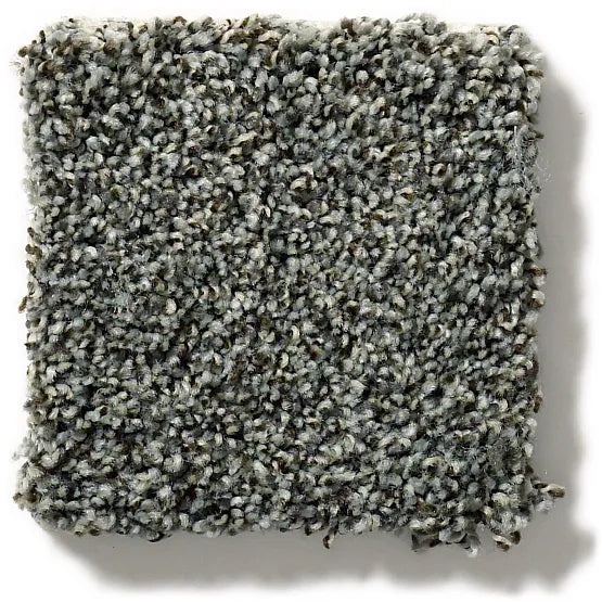 Pet Perfect The Bark Side Ii Rushmore Nylon Carpet - Textured