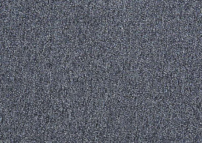 Scholarship Ii 20 Stainless Steel Nylon Carpet - Loop