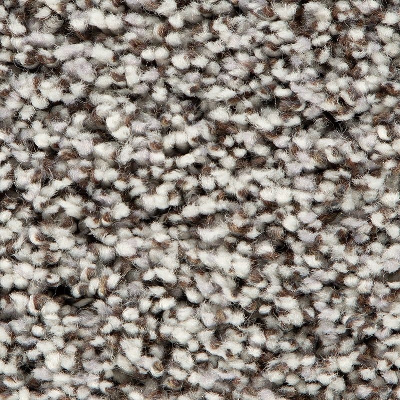 Soft Accolade Ii Morning Mist Polyester Carpet - Textured