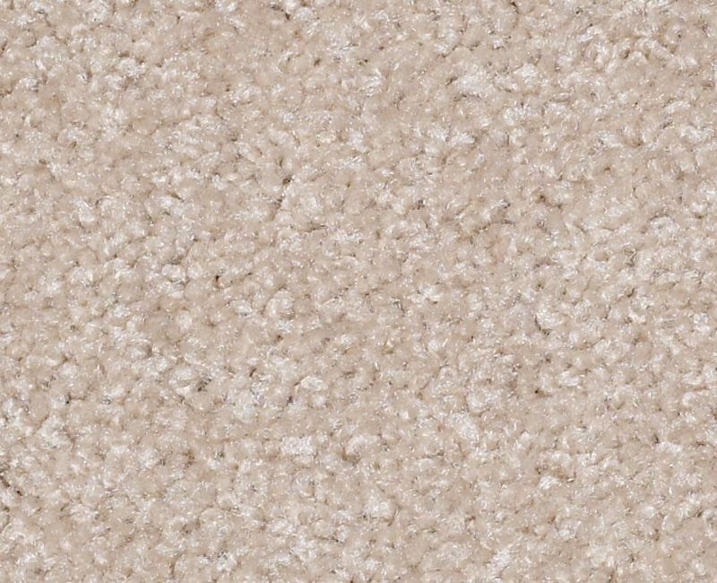 Ironworks Old Ivory Nylon Carpet - Textured