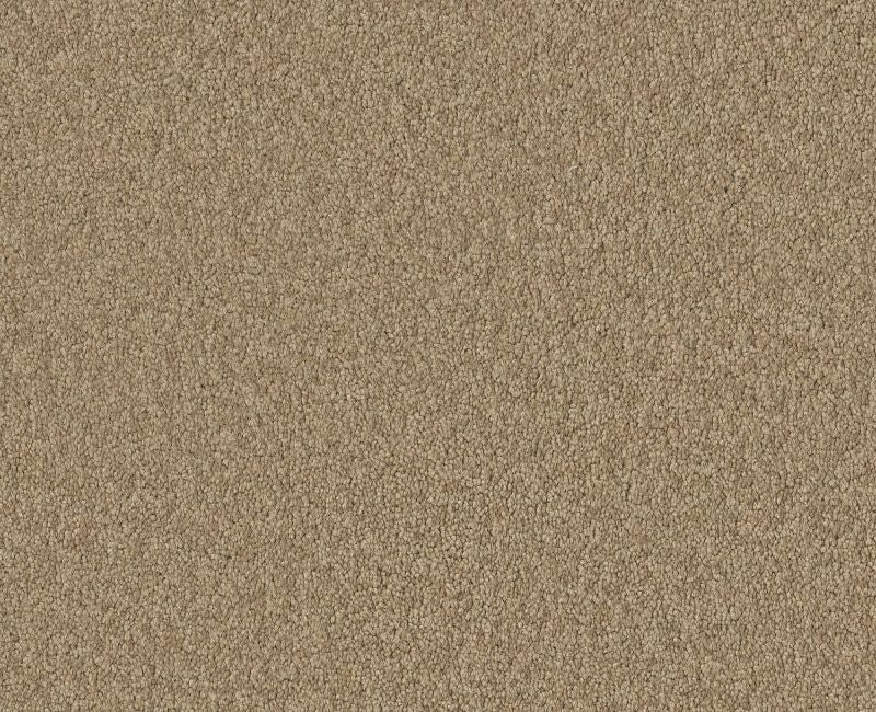 Endura I 12' Adobe Nylon Carpet - Pattern