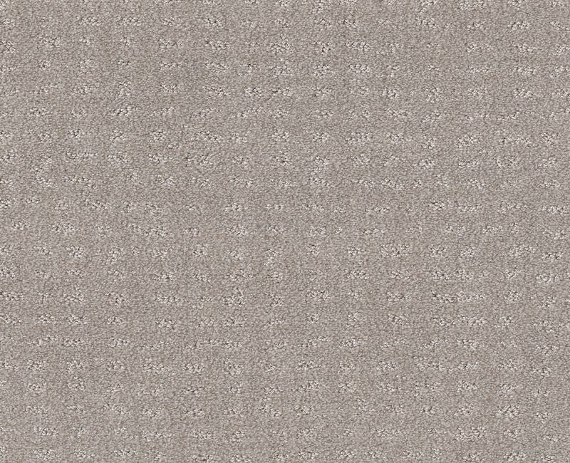 Latest Thing Split Sediment Nylon Carpet - Loop