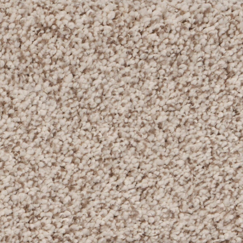 Pure Luxury Ii Opulence Polypropylene Carpet - Textured