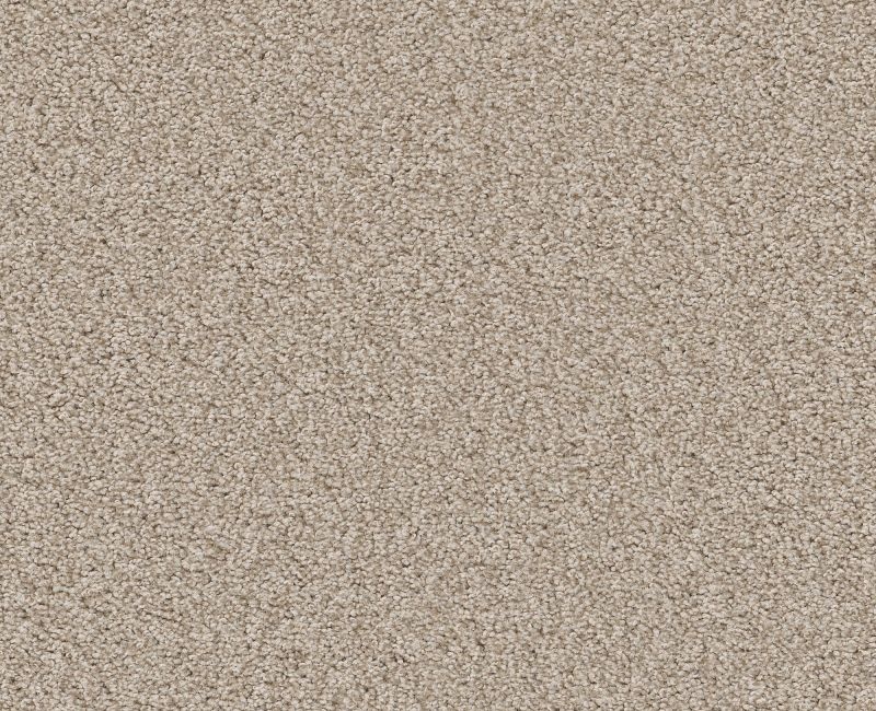 Memorable Iii Sandstone Nylon Carpet - Loop