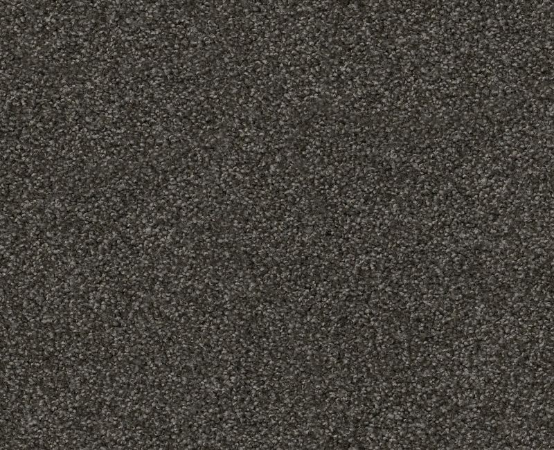 Anso Open I (T) Rich Earth Nylon Carpet - Textured